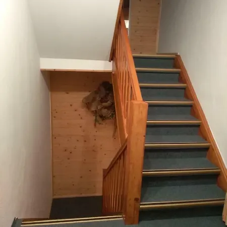 Reschreiter Daire
